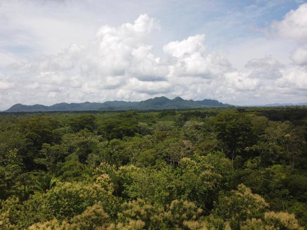 listing image with ID 64213