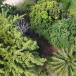 listing image thumbnail with ID 64354