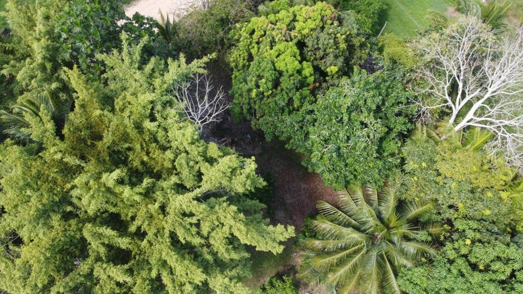 listing image with ID 64354