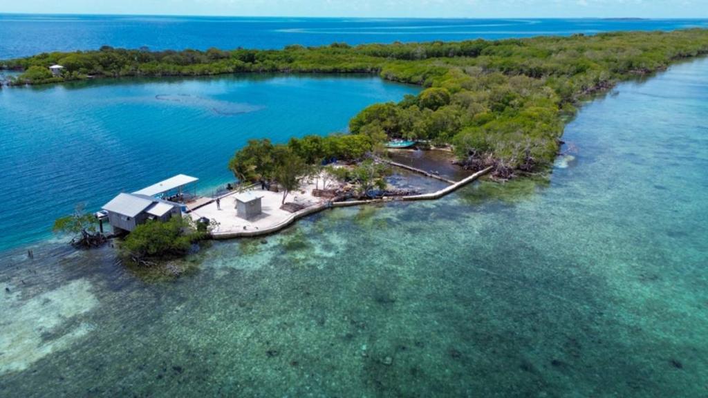 listing image with ID 65848