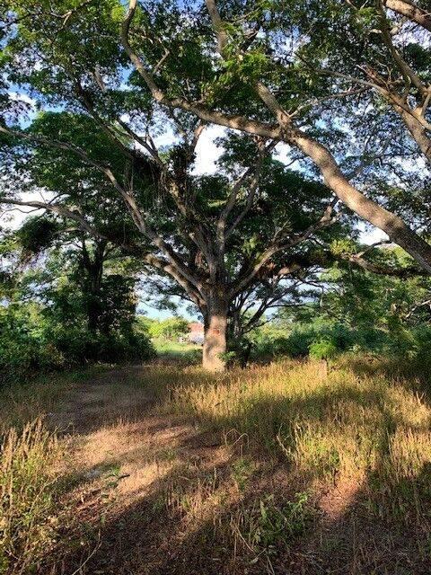 listing image with ID 65019