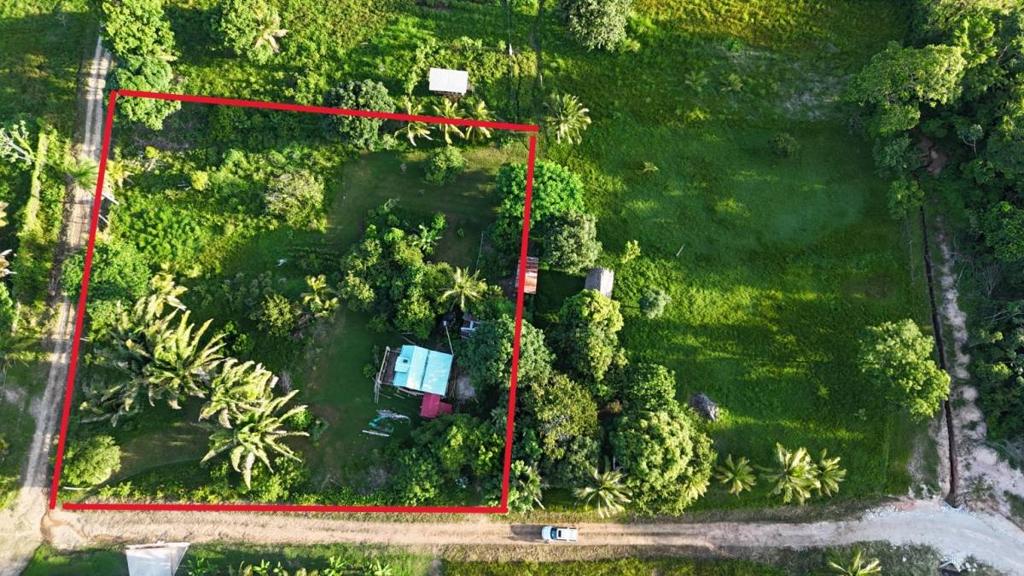 listing image with ID 67211