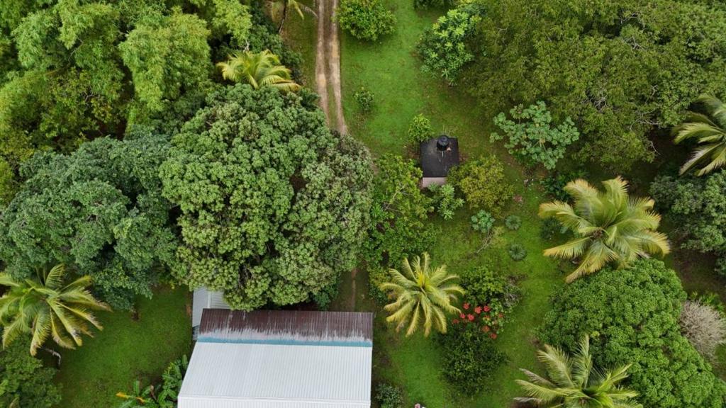 listing image with ID 65267