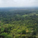 listing image thumbnail with ID 64875