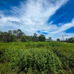 listing image thumbnail with ID 65154