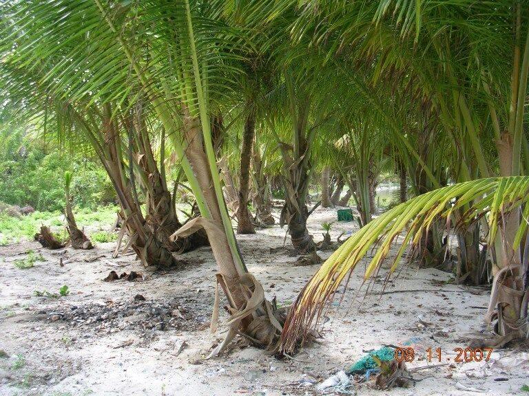 listing image with ID 65643