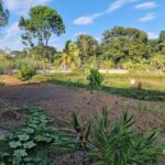 listing image thumbnail with ID 64956