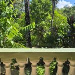 listing image thumbnail with ID 65877