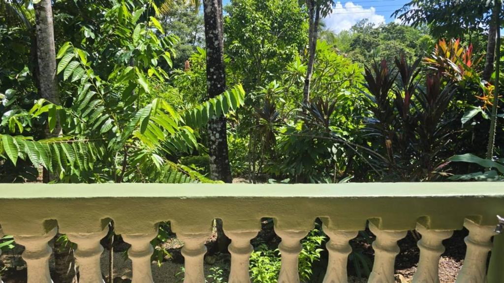 listing image with ID 65877