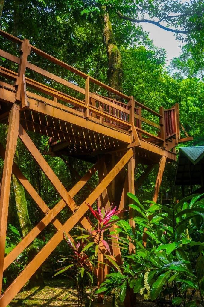 listing image with ID 63921