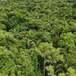 listing image thumbnail with ID 67092