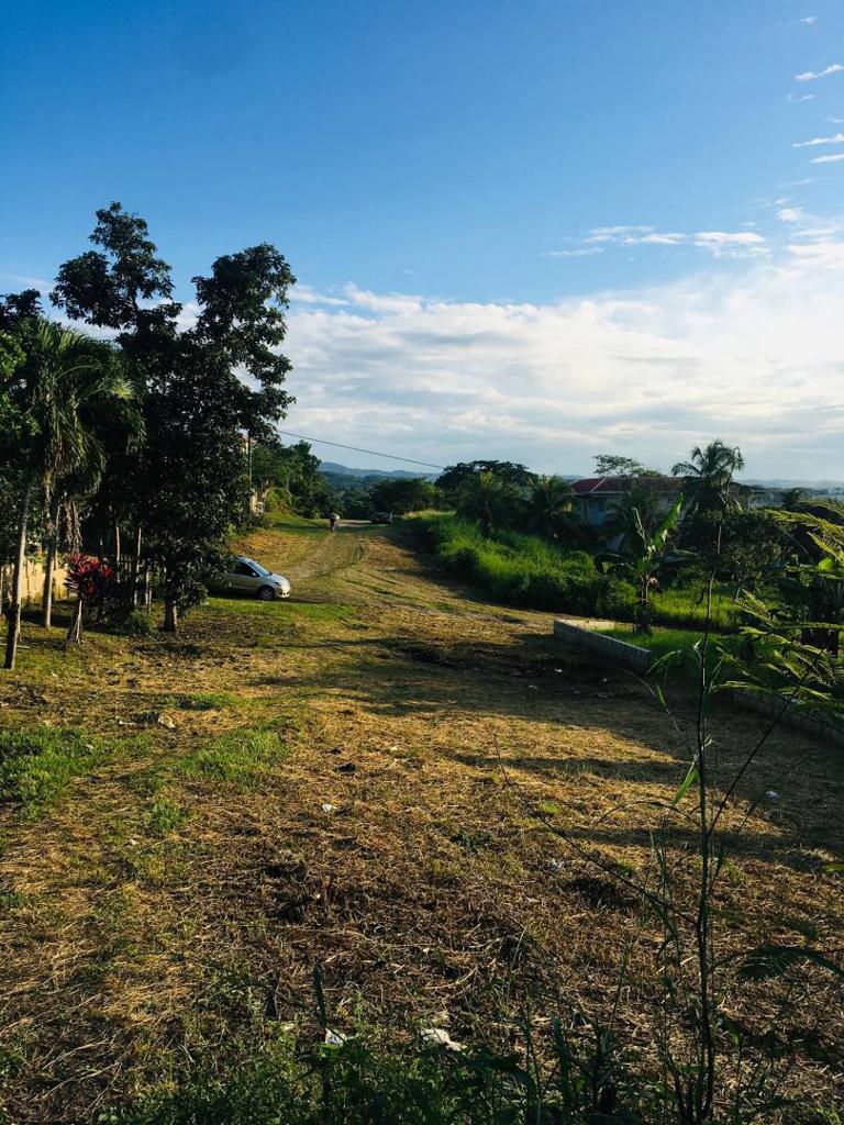 listing image with ID 67215