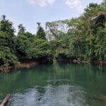 listing image thumbnail with ID 66259