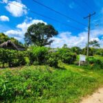 listing image thumbnail with ID 64389