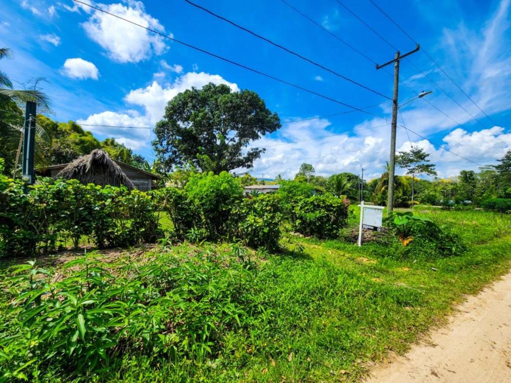 listing image with ID 64389