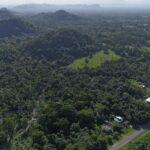 listing image thumbnail with ID 63896