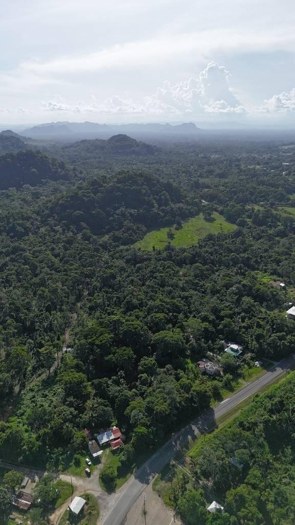 listing image with ID 63896