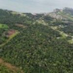 listing image thumbnail with ID 65826