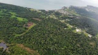 listing image with ID 65826