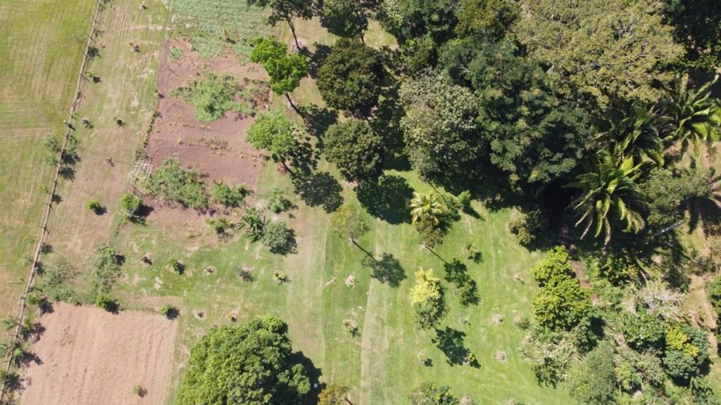 listing image with ID 64924