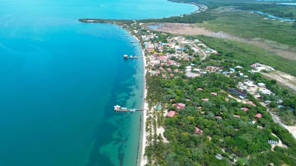 listing image with ID 66244