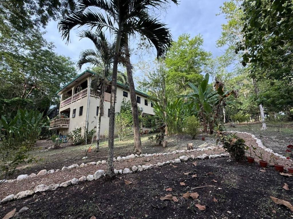 listing image with ID 65612