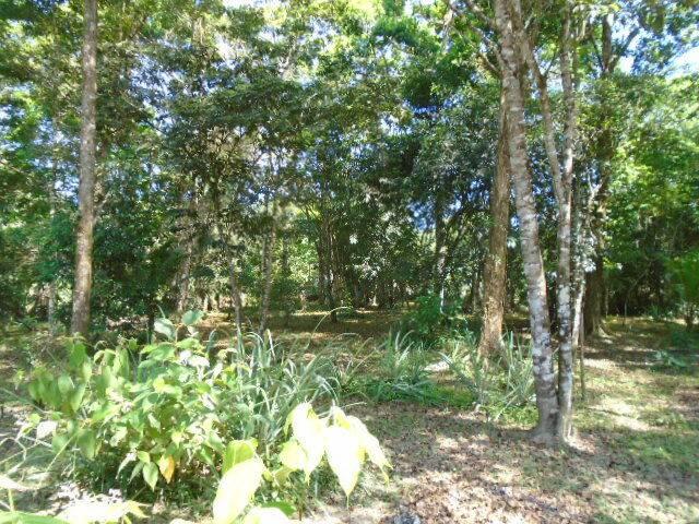 listing image with ID 64793