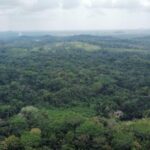 listing image thumbnail with ID 69182