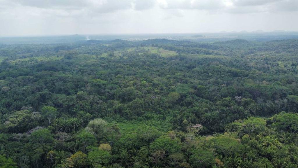 listing image with ID 69182