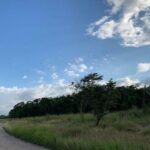 listing image thumbnail with ID 65033