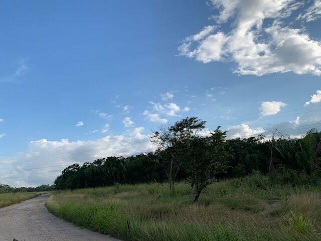 listing image with ID 65033