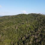 listing image thumbnail with ID 67769