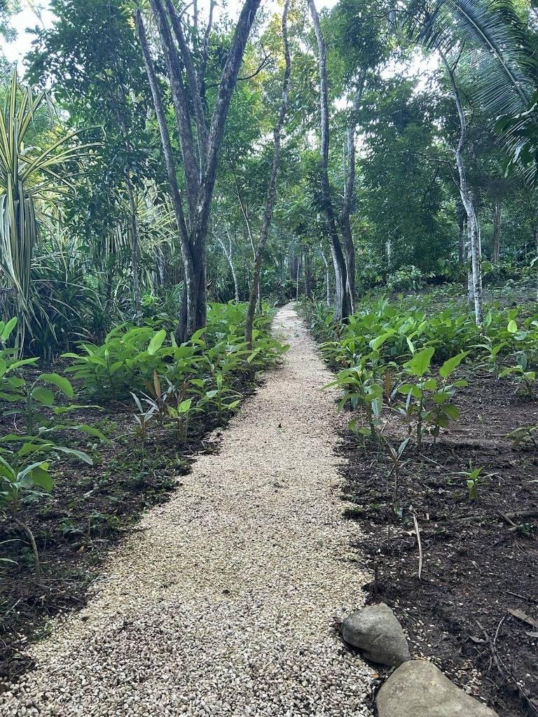 listing image with ID 65889