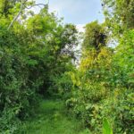 listing image thumbnail with ID 67373