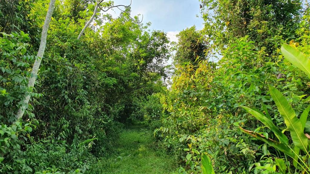 listing image with ID 67373