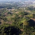 listing image thumbnail with ID 65193