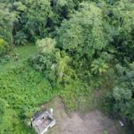 listing image thumbnail with ID 64246