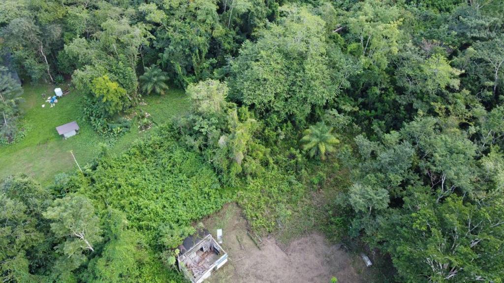 listing image with ID 64246