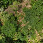 listing image thumbnail with ID 65244