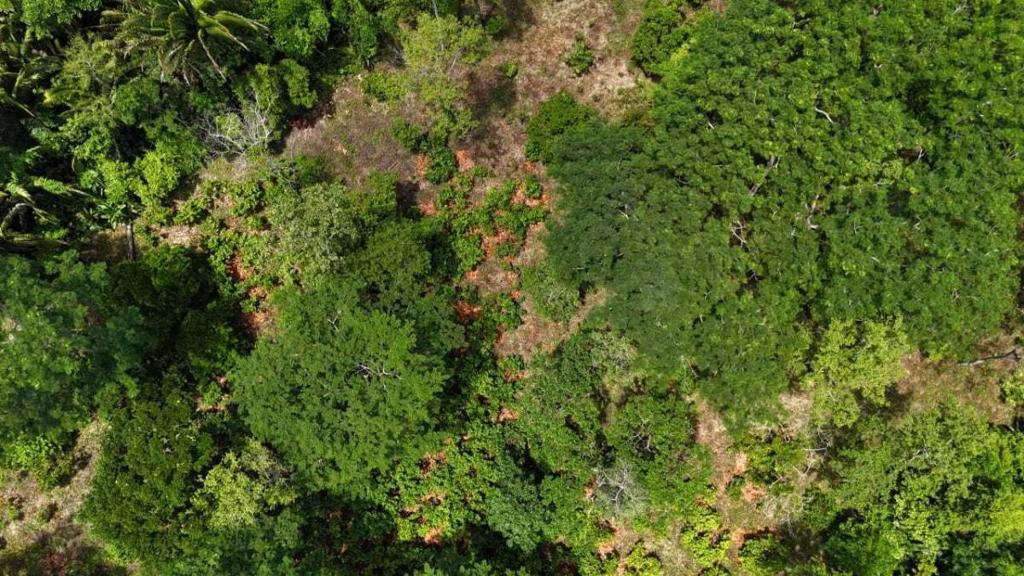 listing image with ID 65244