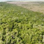 listing image thumbnail with ID 64024