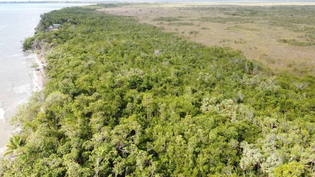 listing image with ID 64024