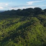 listing image thumbnail with ID 66881