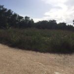 listing image thumbnail with ID 65921