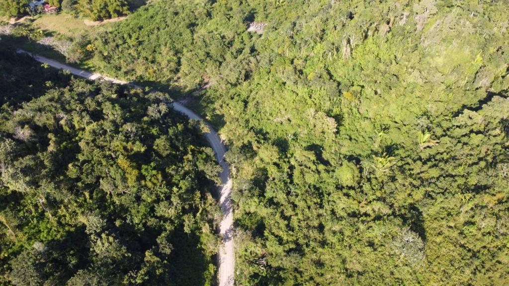 listing image with ID 67581