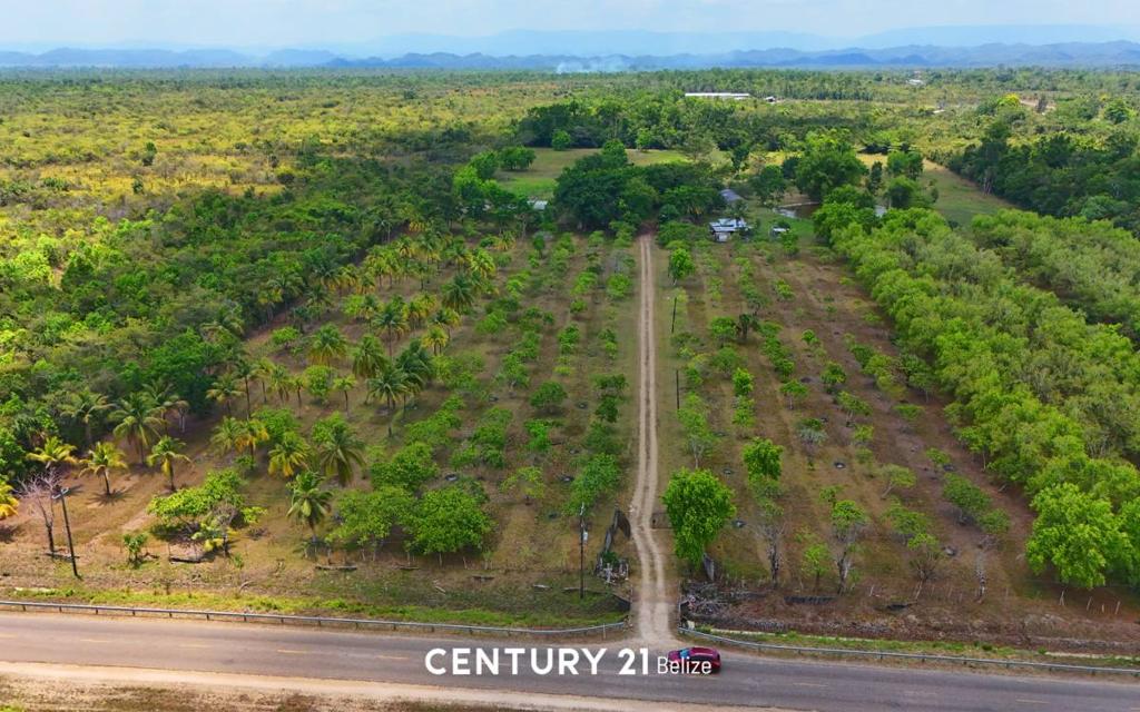 listing image with ID 66597