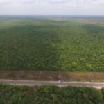 listing image thumbnail with ID 66211