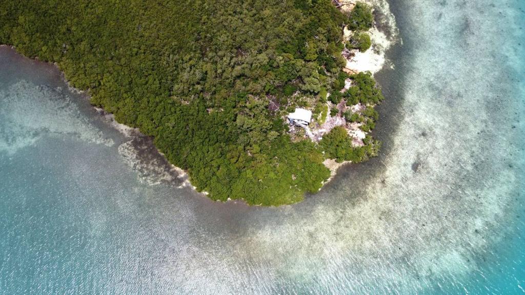 listing image with ID 65388