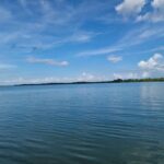 listing image thumbnail with ID 64488