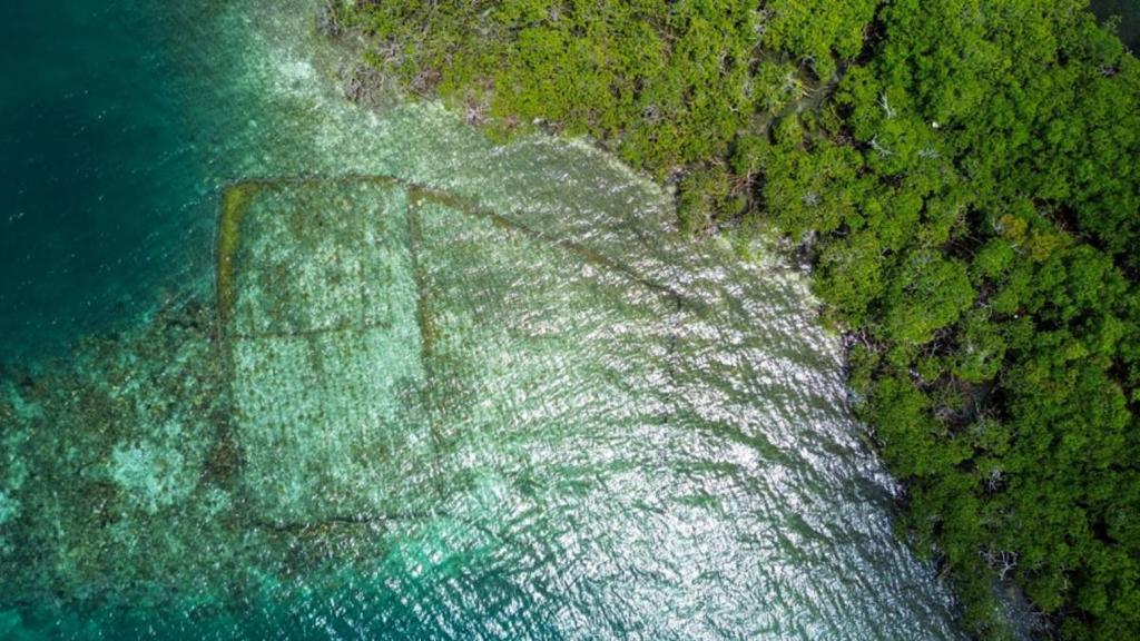 listing image with ID 65850